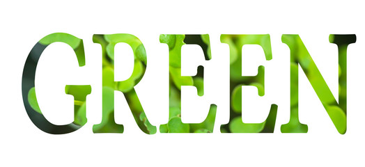 Text GREEN written on white background. word GREEN written in nature leaf microgreen arugula. Healthy eating concept
