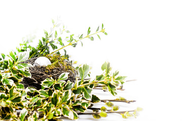 Easter Egg in bird nest with green moss spring foliage background leaves, bears catkins, willow...