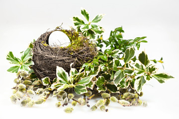 Easter Egg in bird nest with green moss spring foliage background leaves, bears catkins, willow branch on white 