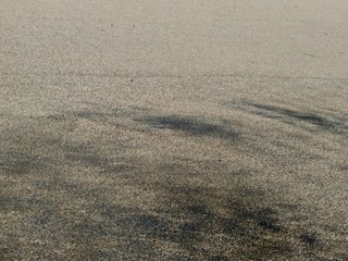 Beach sand with natural background. Good for quotes or other project.