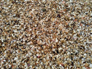 Beach sand with natural background. Good for quotes or other project.
