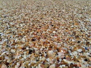 Beach sand with natural background. Good for quotes or other project.