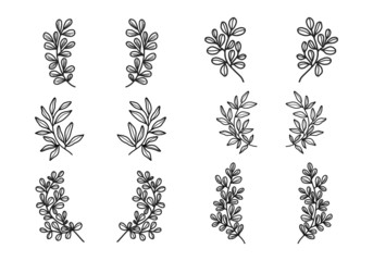 floral leaf artline. hand-drawn nature bracket vector element for vintage decor, invitation, greeting card