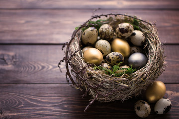 Gold, silver and spotted Quail eggs with green moss in a nest on a brown wooden table with copy space