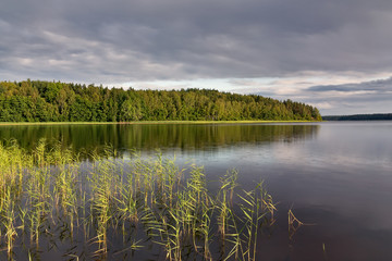 Fototapeta na wymiar Forest on the lake is reflected in calm water, a pacifying summer landscape