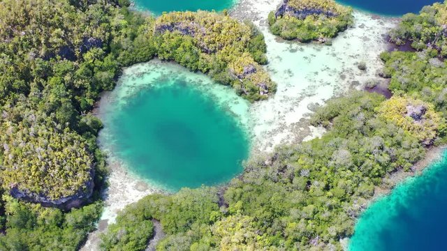 A maze of limestone islands is found in Raja Ampat's beautiful seascape. This area in Indonesia is known to be the heart of marine biodiversity and is a popular destination for divers and snorkelers.