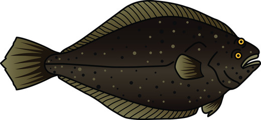 魚のイラストーカレイ