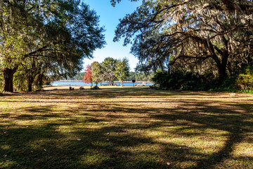 Beautiful view of a lake surrounded by trees