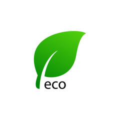 Green leaf icon design. Eco symbol concept isolated on white background. Vector illustration