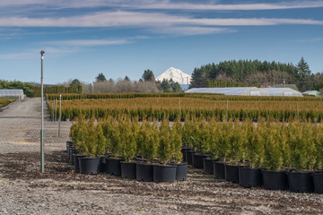 Rural plant farm Oregon state.