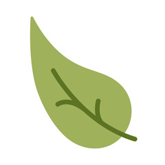 tree leaf on white background