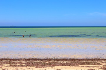 Fototapeta na wymiar beach and sea in Whyalla, South Australia