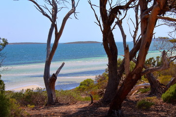 Fototapeta na wymiar Beach in Lincoln National Park, South Australia