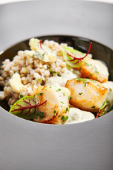 Scallop with green buckwheat closeup view