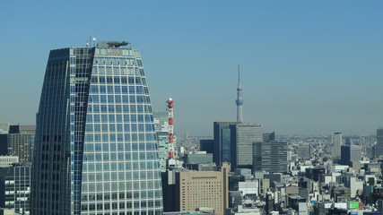 Fototapeta na wymiar Panoramic View Over Downtown Tokyo, Japan