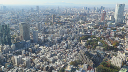 Fototapeta premium Panoramic View Over Downtown Tokyo, Japan