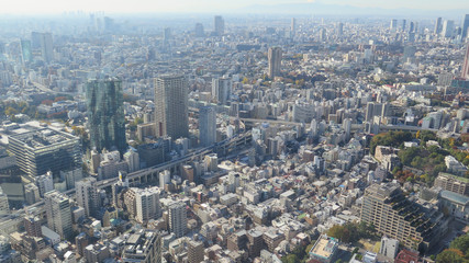 Panoramic View Over Downtown Tokyo, Japan