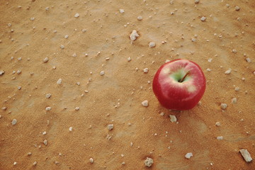An apple on a dry arid desert land. Food insecurity, water shortage and agricultural crisis concept.