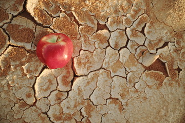 An apple on a dry cracked desert soil. Water shortage, food insecurity, crisis, hunger and...