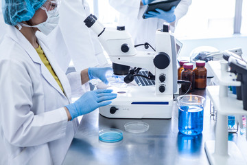 顕微鏡を覗き込む女性研究員