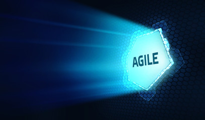 Business, Technology, Internet and network concept. Agile Software Development.