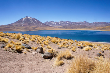 linda paisagem lagoa vulcão deserto do atacama