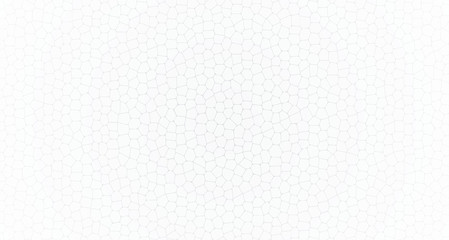 Abstract white grey leather texture background