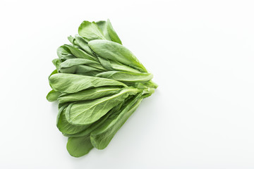 大葉春菊（鍋しゅんぎく）　北九州名産