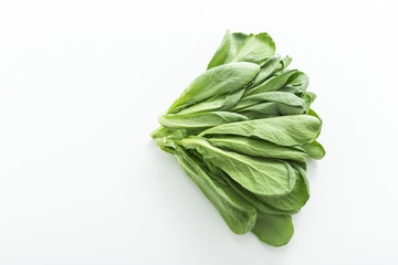 大葉春菊（鍋しゅんぎく）　北九州名産