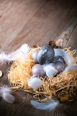 Easter background with Easter eggs and feathers
