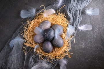 Easter background with Easter eggs and feathers