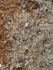 Wood sawdust background closeup. Sawdust floor texture. Top view. Sawdust texture, close-up background of brown sawdust. Use as a Background or Wallpaper. So Contrast or Grainy.