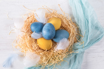Colorful easter eggs with feathers on light background