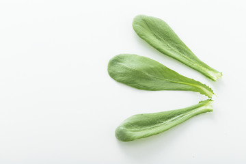 大葉春菊（鍋しゅんぎく）　北九州名産