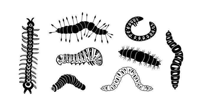 Caterpillar Cartoon Images – Browse 16,263 Stock Photos, Vectors, and Video  | Adobe Stock