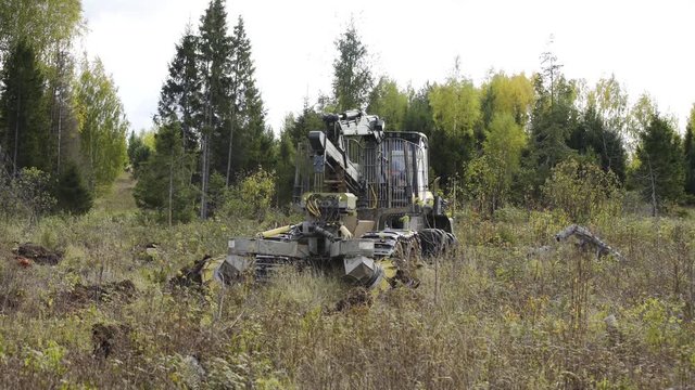 Forest restoration harvester makes furrows for planting spruce pine seedlings. Reforestation on the planet. Working process of planting a tree after deforestation for Industrial production.