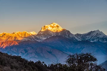 Poster Dhaulagiri Majestic view of sunset sweeping through Dhaulagiri mountain range from Poon Hill, Ghorepani, Nepal