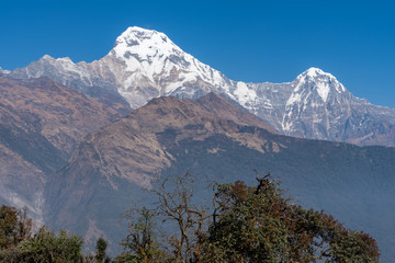 Beautiful view of Annapurna range with himchuli Pokhara nepal