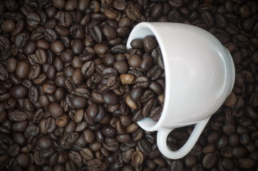 coffee beans in a Cup