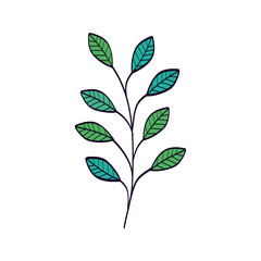 branch with leafs natural isolated icon vector illustration design