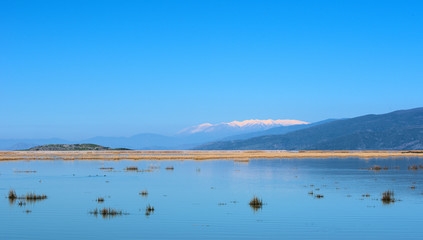 Obraz na płótnie Canvas lake Karla , Greece , wild flora and fauna, in a protected ecological environment