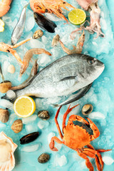 Fish and seafood flatlay. Sea bream, prawns, crab, sardines, mussels, and clams, shot from the top on ice
