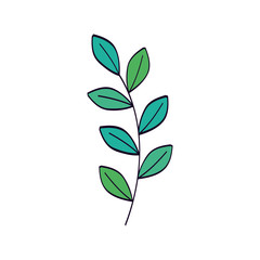 branch with leafs natural isolated icon vector illustration design