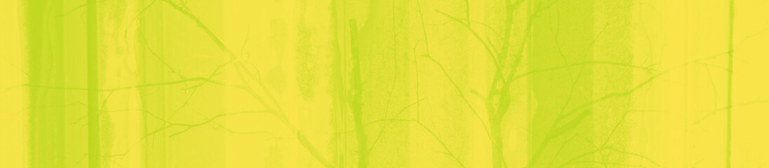 Naklejka na ściany i meble abstract lime and yellow colors background