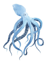 Beautiful underwater watercolor blue octopus stock illustration. © zenina