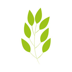 branch with leafs natural isolated icon vector illustration design