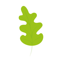 leaf nature ecology isolated icon vector illustration design