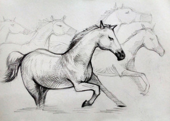 drawing  animal   Running horse Lucky background  From Thailand