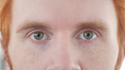 Close up of Eyes of Young Casual Redhead Man