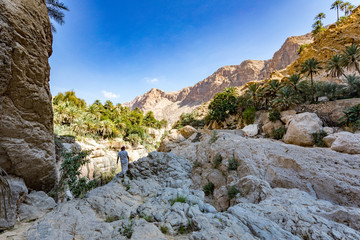 Wadi Tiwi water spring and waterfall, Oman - Water spring, waterfall and eroded canyon surrounded by palm trees oasis in Oman.